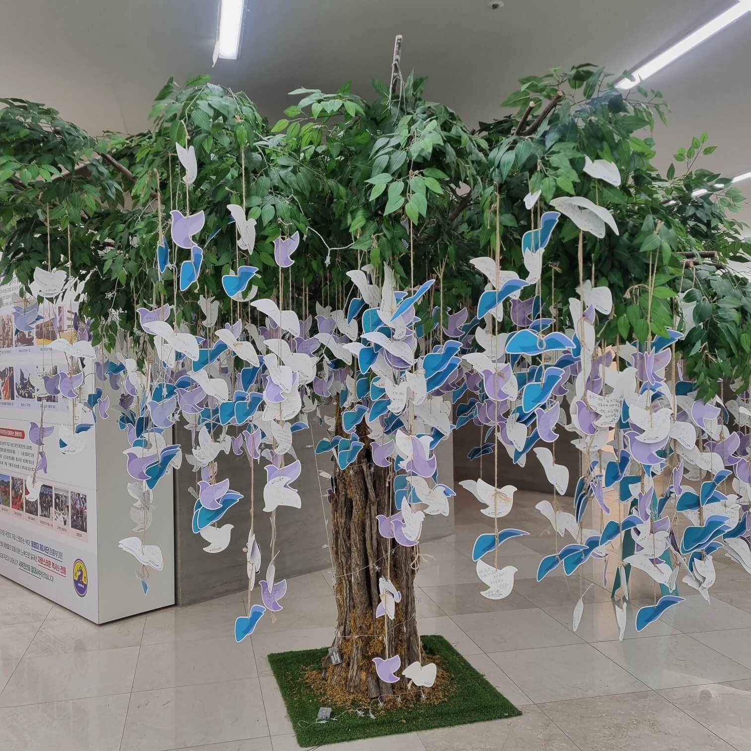 애기봉 스타벅스