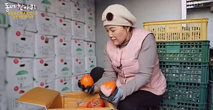 저장고에-보관된-감을-고르는-모습