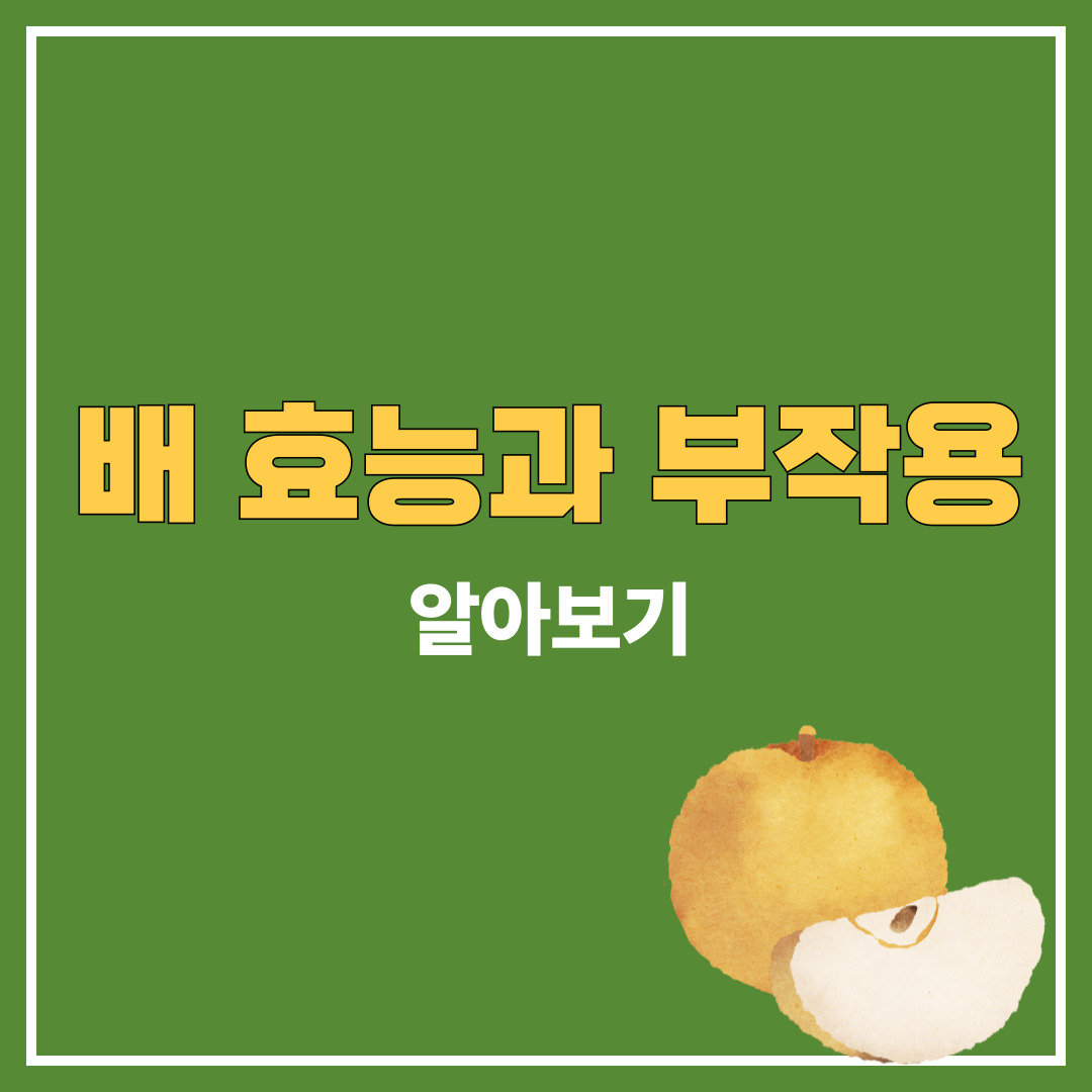 배 효능 부작용 알아보기