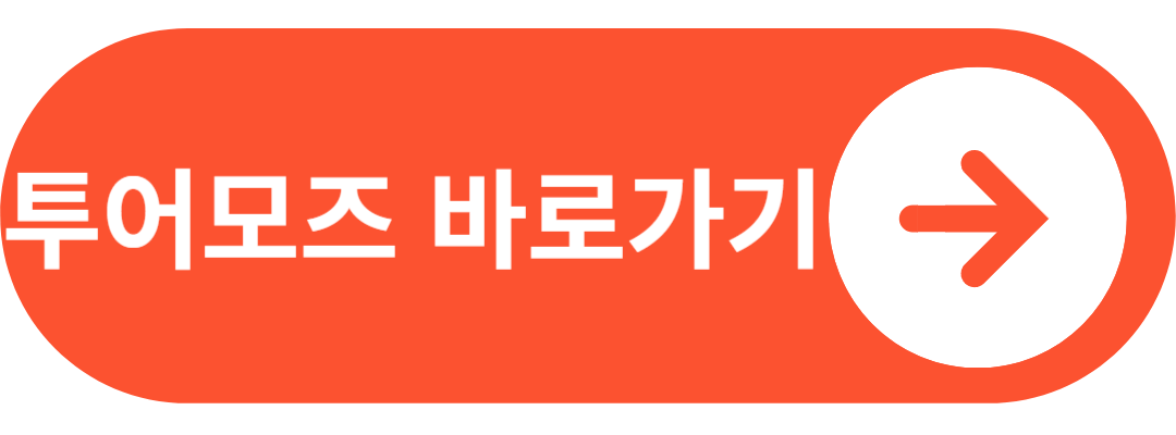 여행자보험 투어모즈