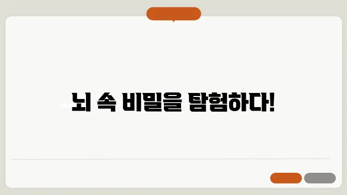기능적 자기공명영상(fMRI)