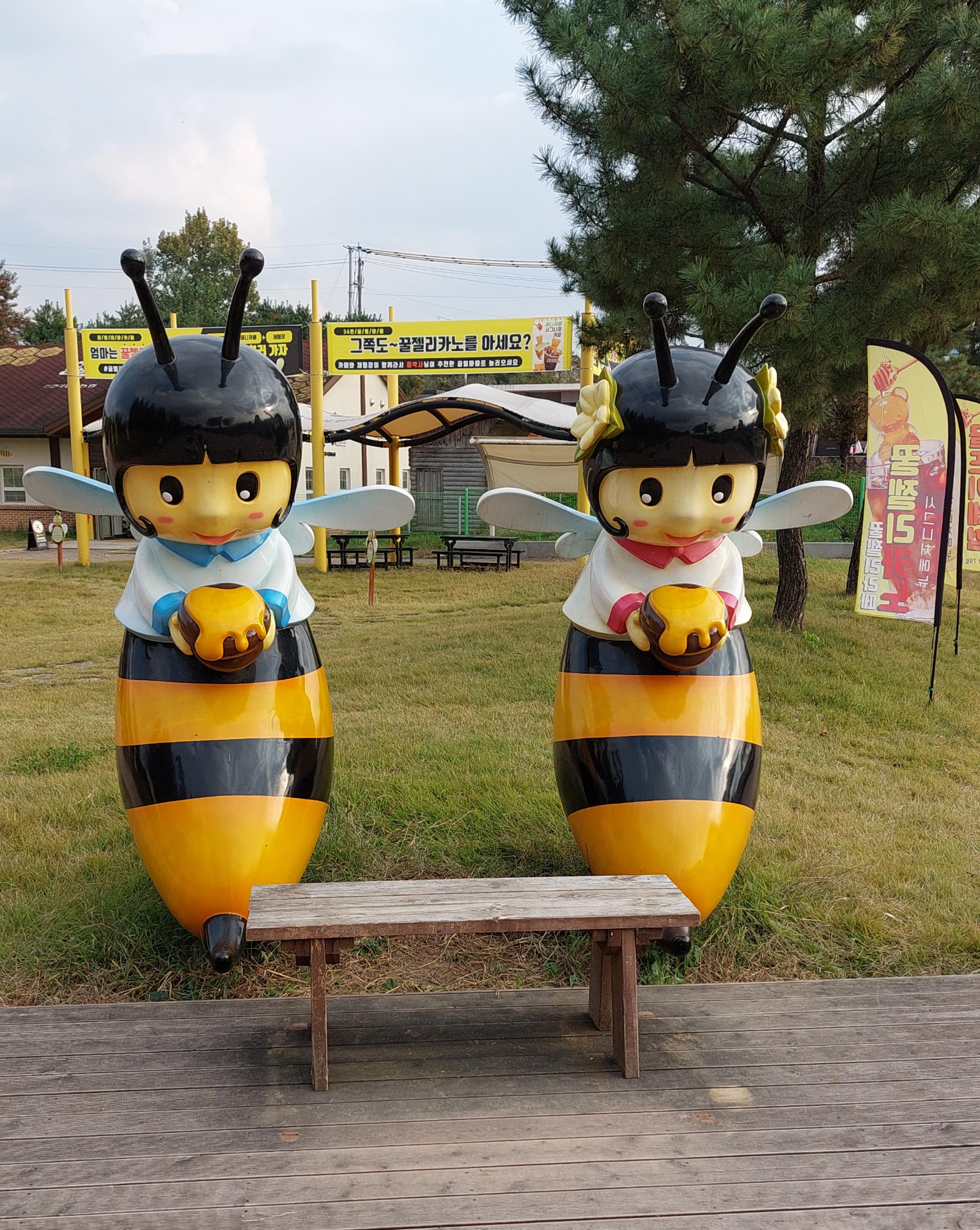 안성팜랜드 허니카페 입구 벤치