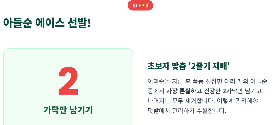 수박 순치기 방법