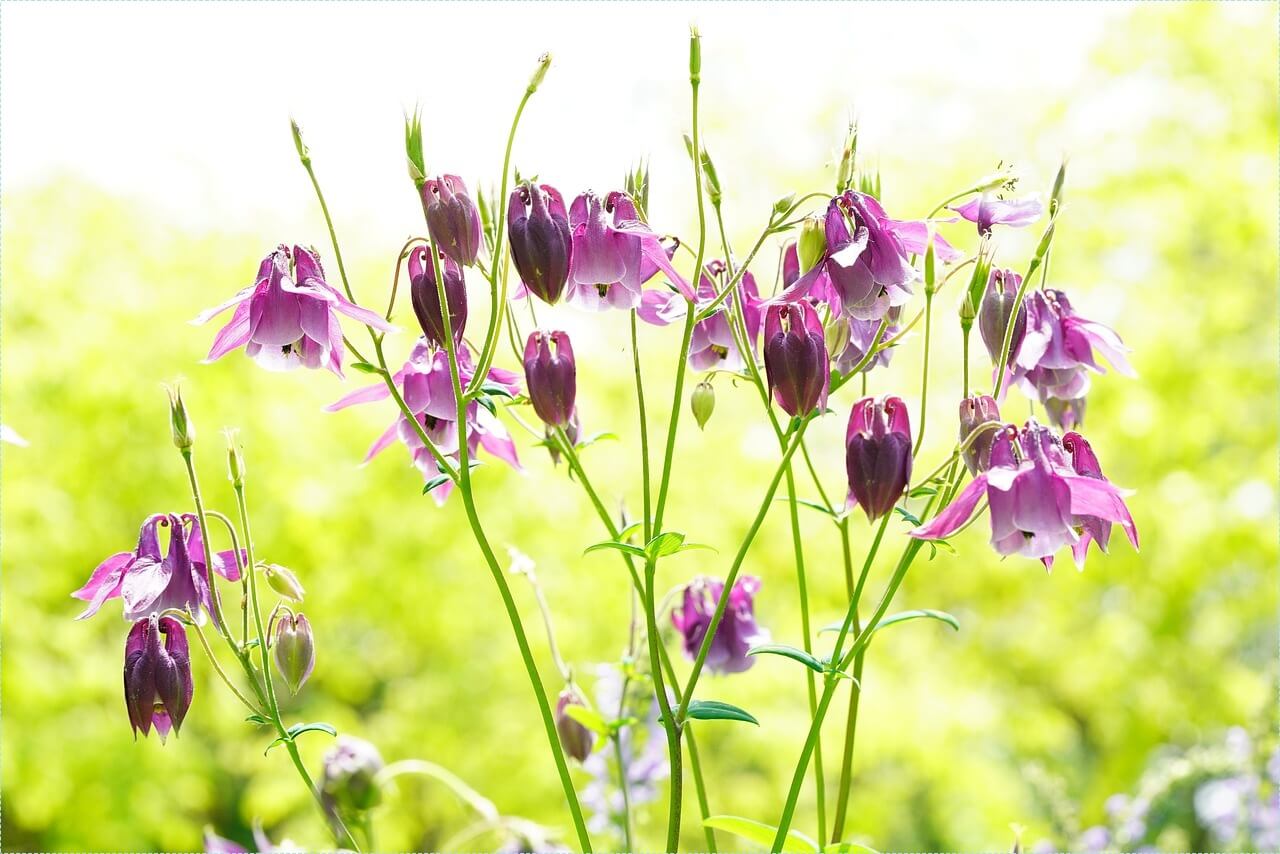 적금 이율 높은 은행