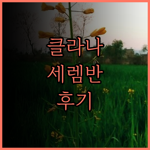 클라나 리조트 세렘반 숙박 후기 장단