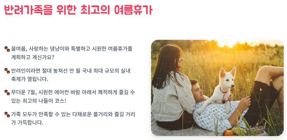 대한민국 펫캉스 구미코