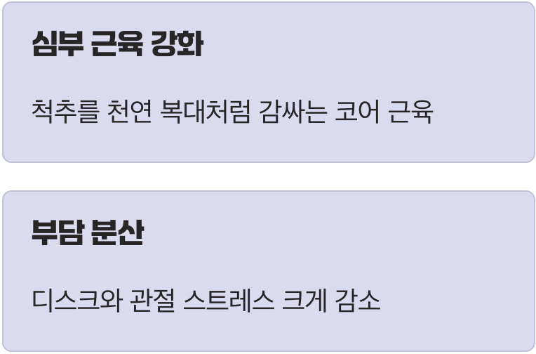 허리가 아닌 '코어'를 깨우세요