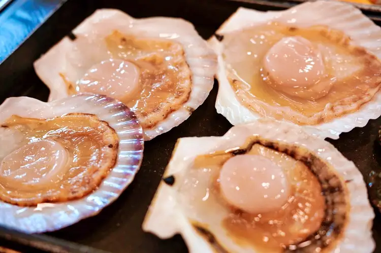 입이 쩍! 산해진미 한판! 키조개 우삼겹 삼합 철판구이 수원 조개구이 맛집 추천 생방송투데이 리얼맛집 오늘방송 전설의 맛