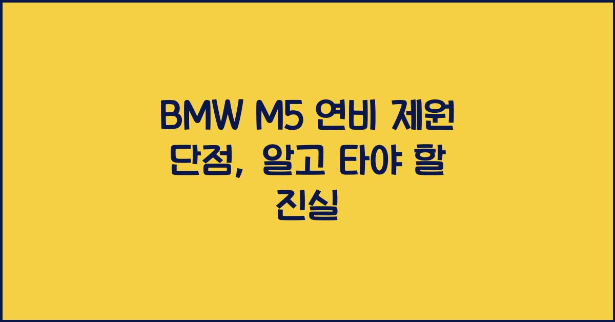 BMW M5 연비 제원 단점
