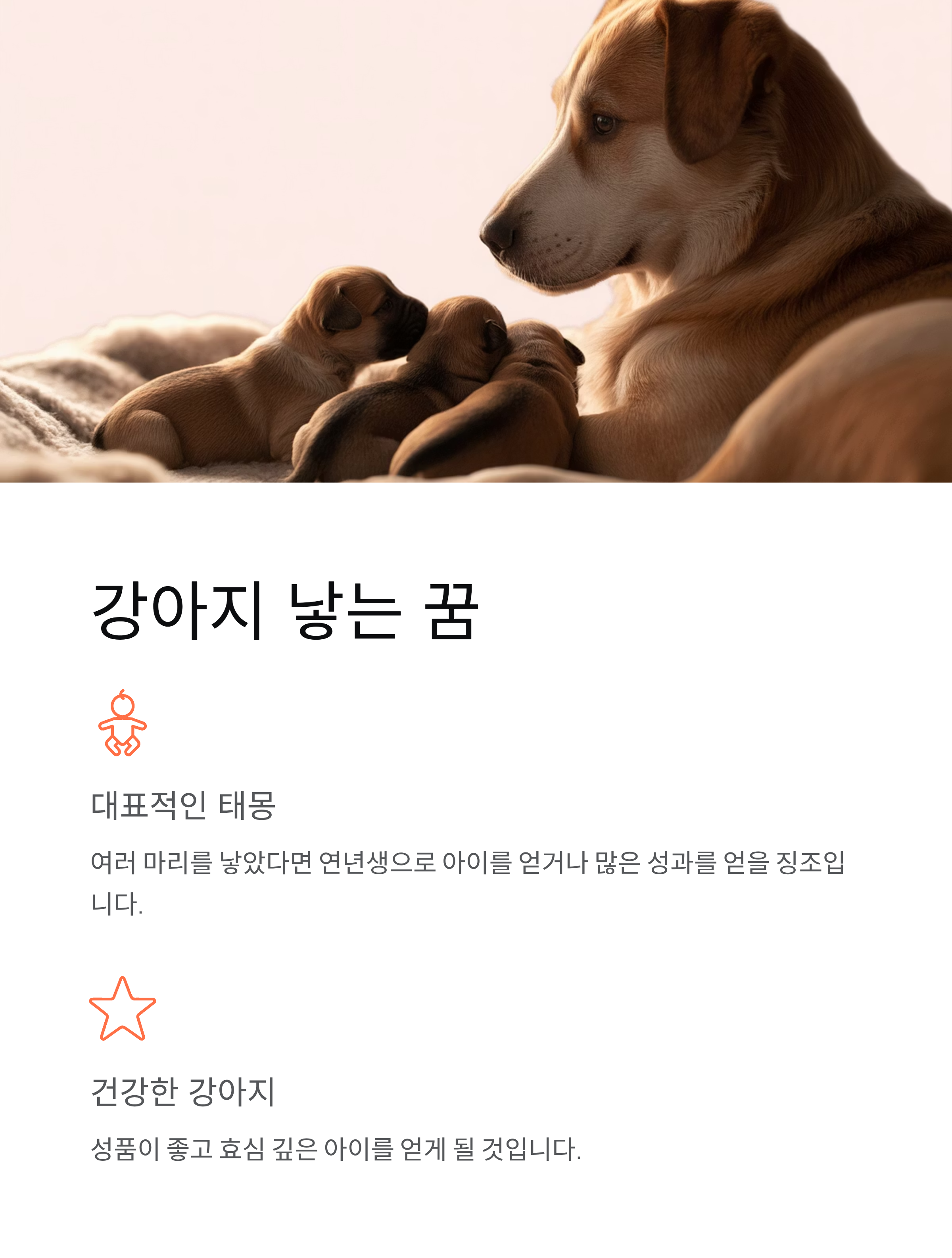 개꿈 해몽, 개한테 **물리는 꿈**은 대박 횡재수? **강아지 낳는 꿈** 태몽 핵심 정리!