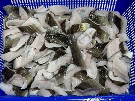 장어