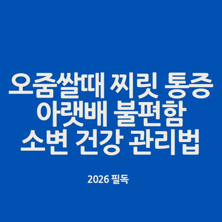 오줌쌀때 찌릿 통증