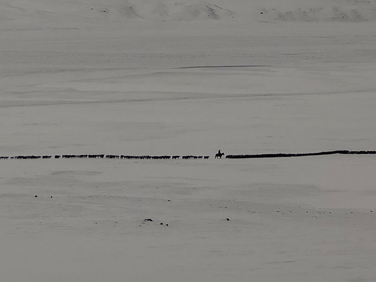 양치기-사진-프레데릭-벅스