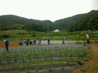 마을 공동작업 참여 품앗이 공동구매 장비공유 일정 관리_21