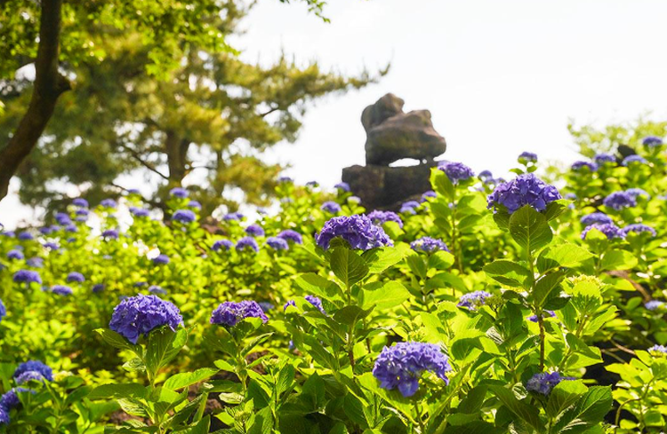 제주 송당동화마을