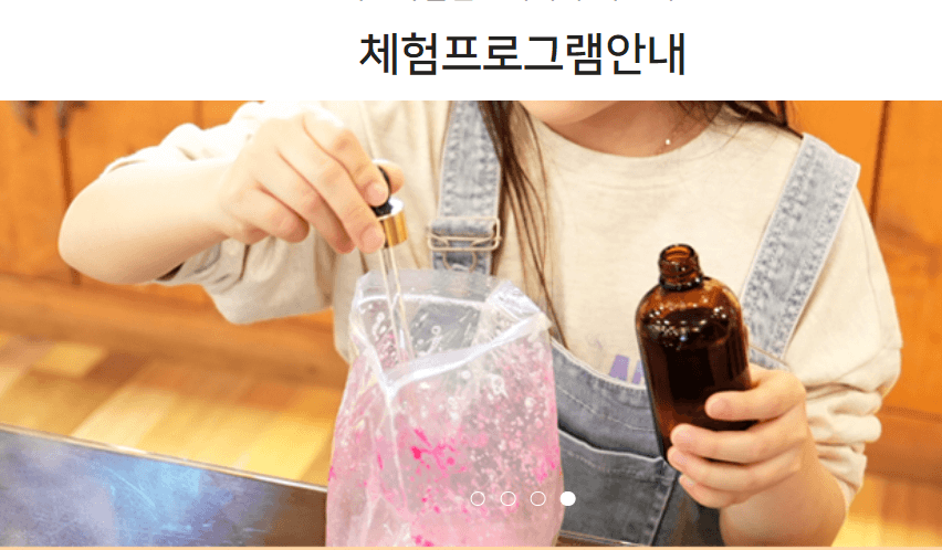 전국 9월 가을 축제 가볼만한곳 추천 BEST 5.