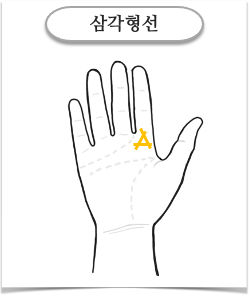최고의 행운을 담고있는 삼각형선