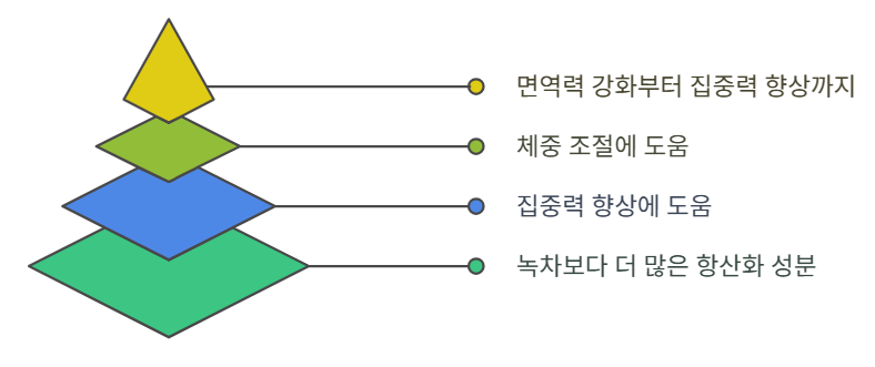 말차 효능 구조