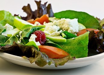 무궁화 다이어트 효과 있는 복용법|변화가 느껴지는 섭취 방법