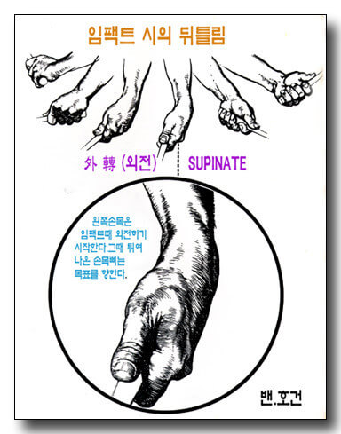 손목의 움직임