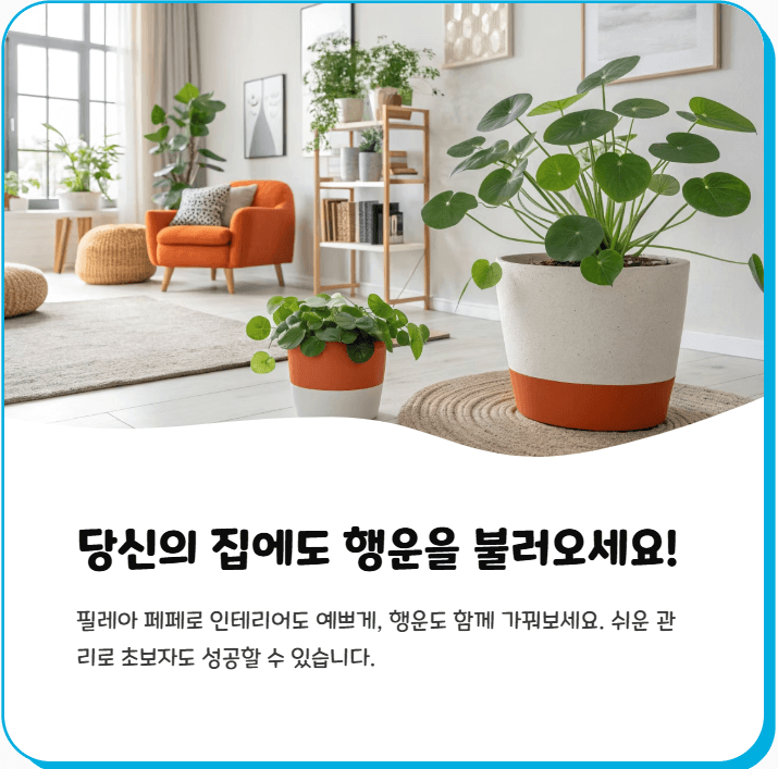 필레아 페페 키우기