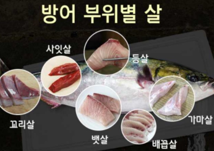 겨울-제철-방어-기생충-걱정-없이-맛있게-먹는-법