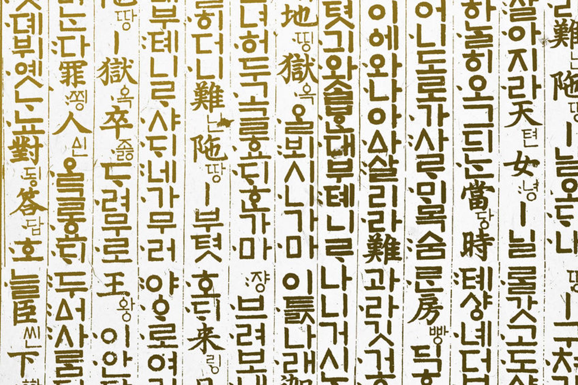 국어교육과