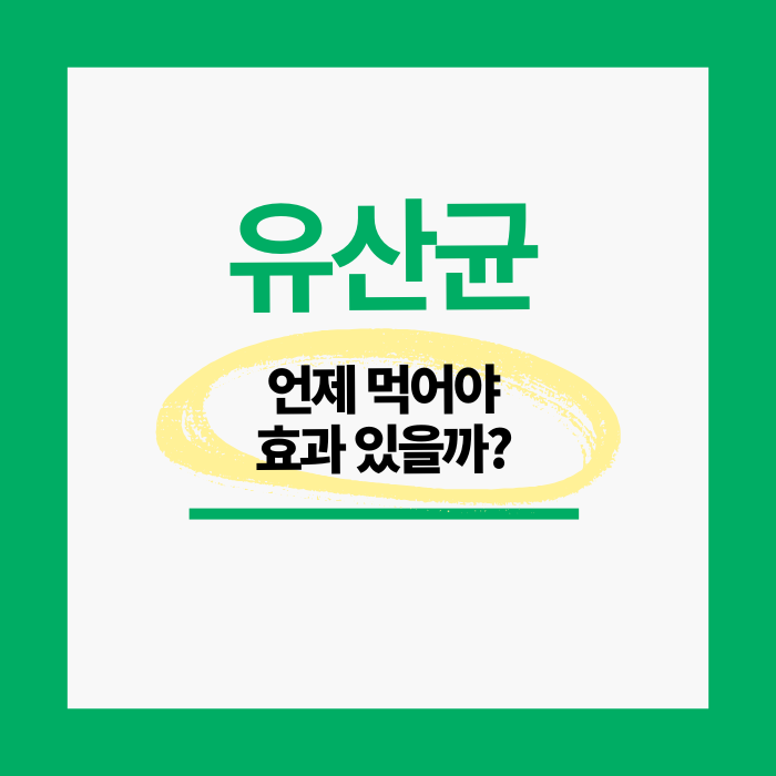 유산균 복용 시간 완벽 정리