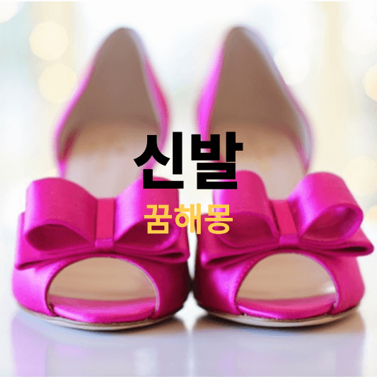 신발 꿈해몽 풀이(신던 신발을 잃어버리는, 신발장에 신발이 가득 차 있는 꿈은 길몽 일까요?)