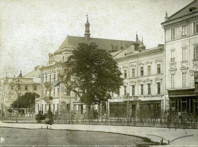 비엔나 커피는 오스트리아의 수도 빈의 아인슈패너 커피에서 유래했다.