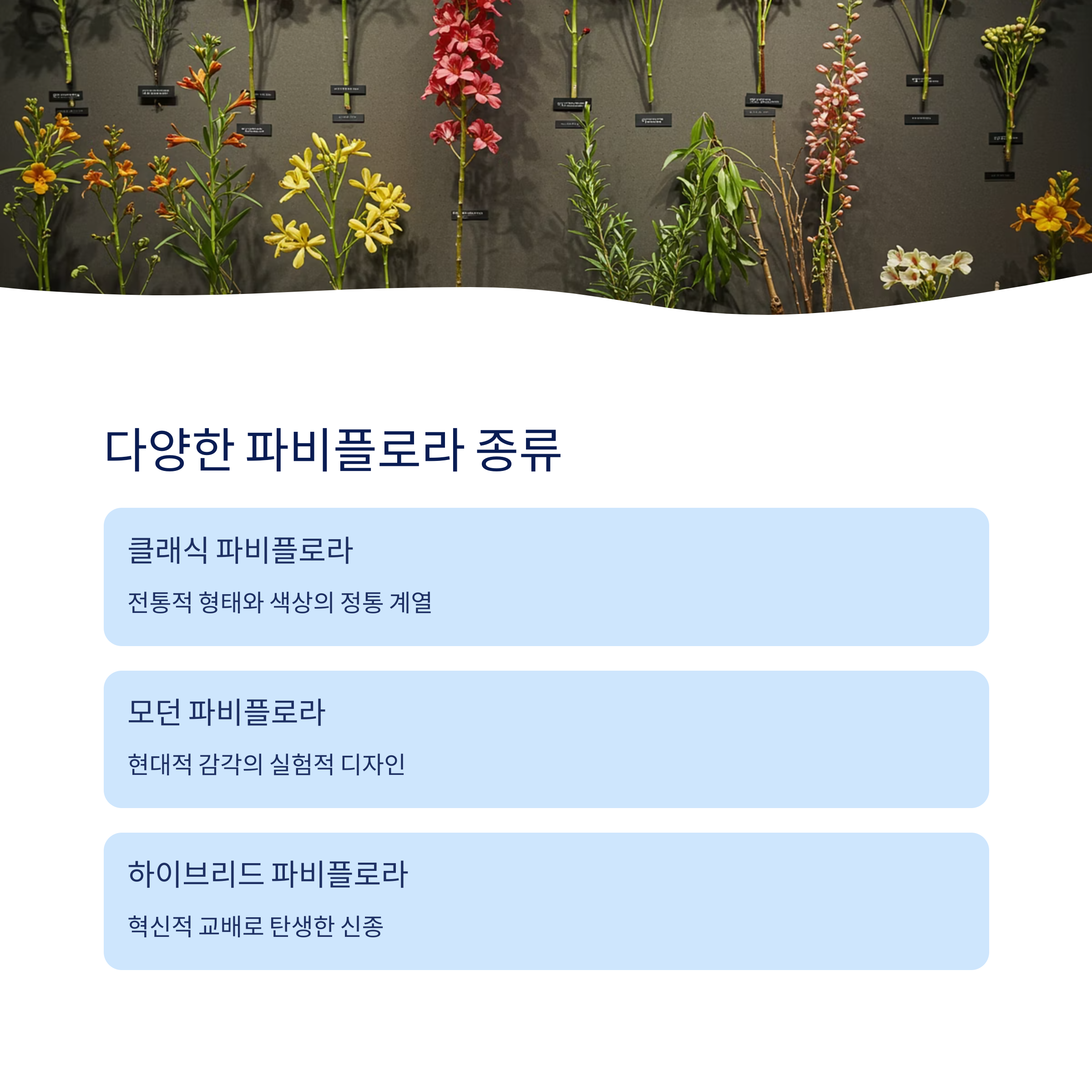 다양한 파비플로라 종류
