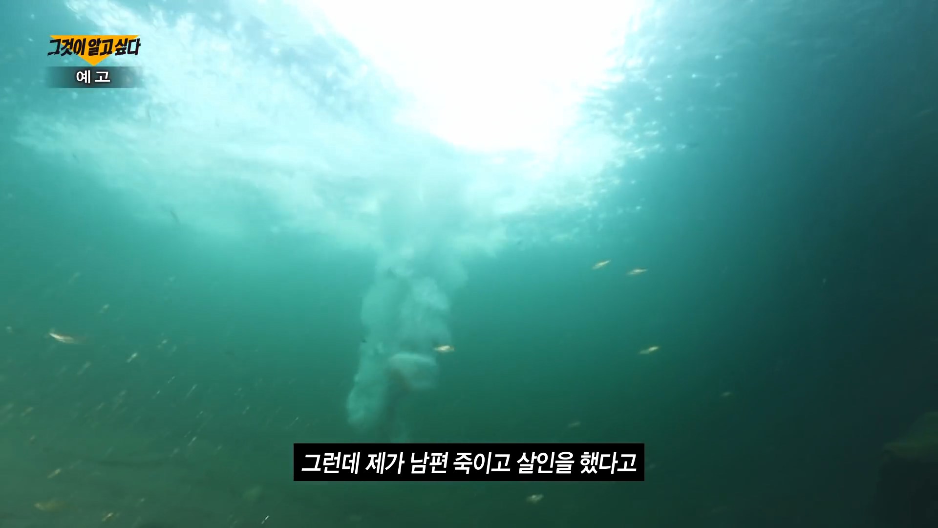 그것이 알고 싶다 그날의 마지막 다이빙 가평 용소 폭포 계곡 익사 사건 보험금 지급 미스터리