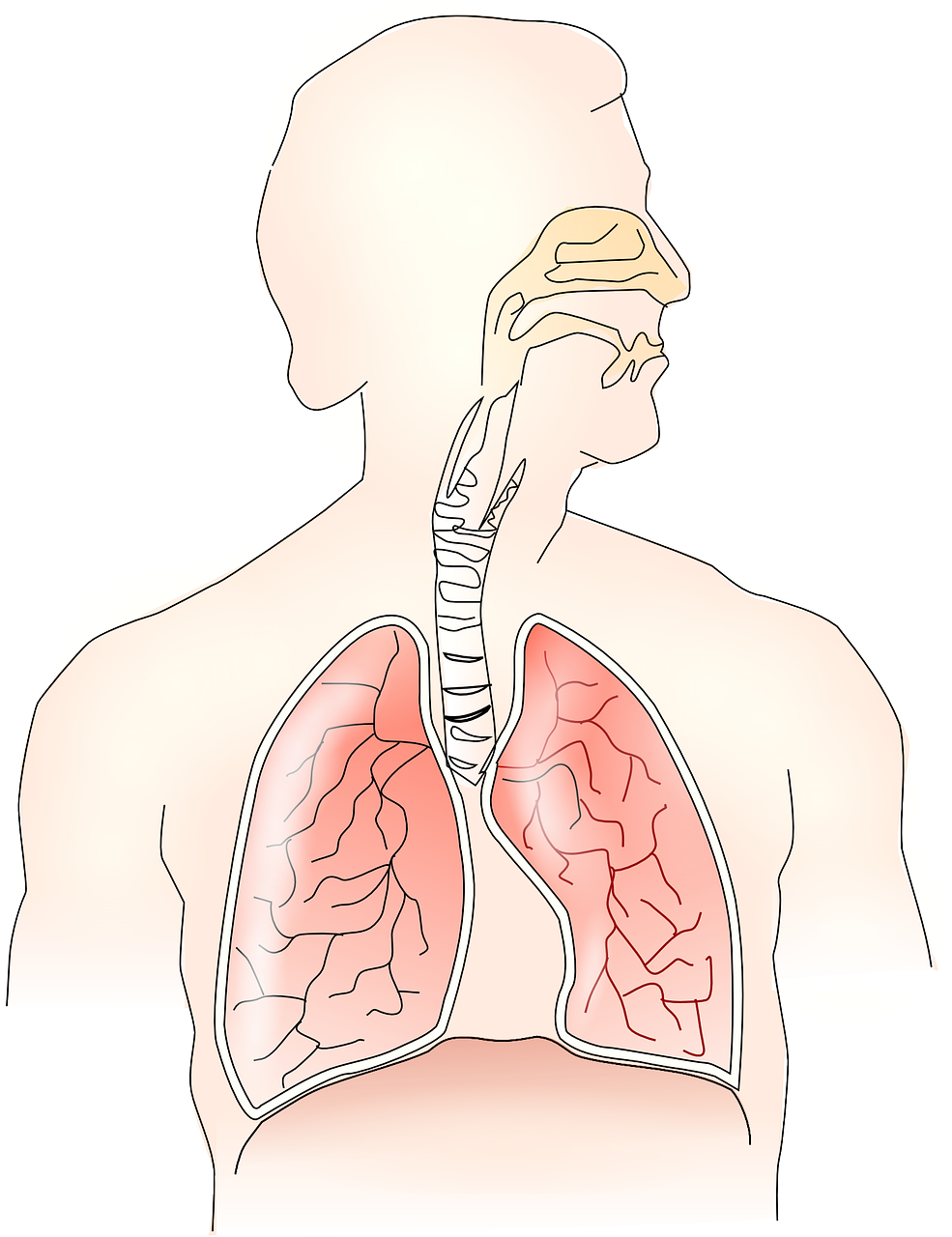 고혈압이 겨울철에 더 위험한 이유 - 호흡기문제