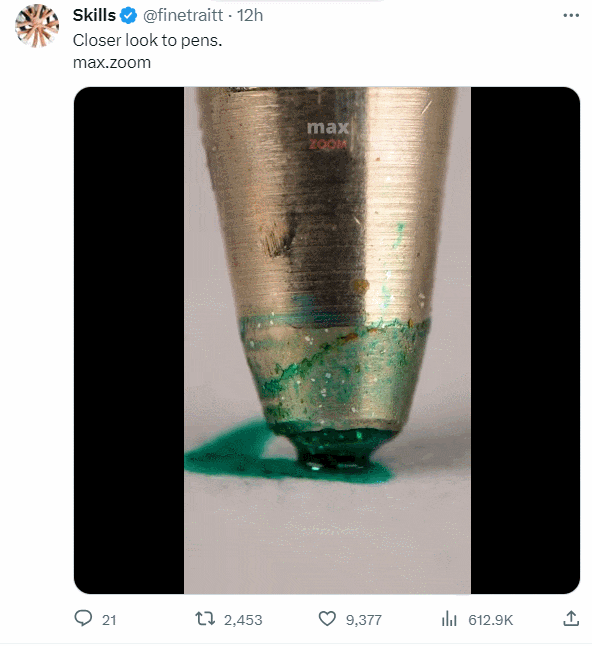 펜을 확대한 모습 ㅣ 모로코의 나무 위에 염소들이... VIDEO: Closer look to pens. ㅣ Goats on trees: Morocco