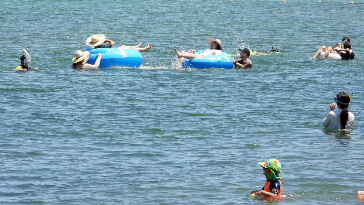 제주시 세화항에서 발생한 사건