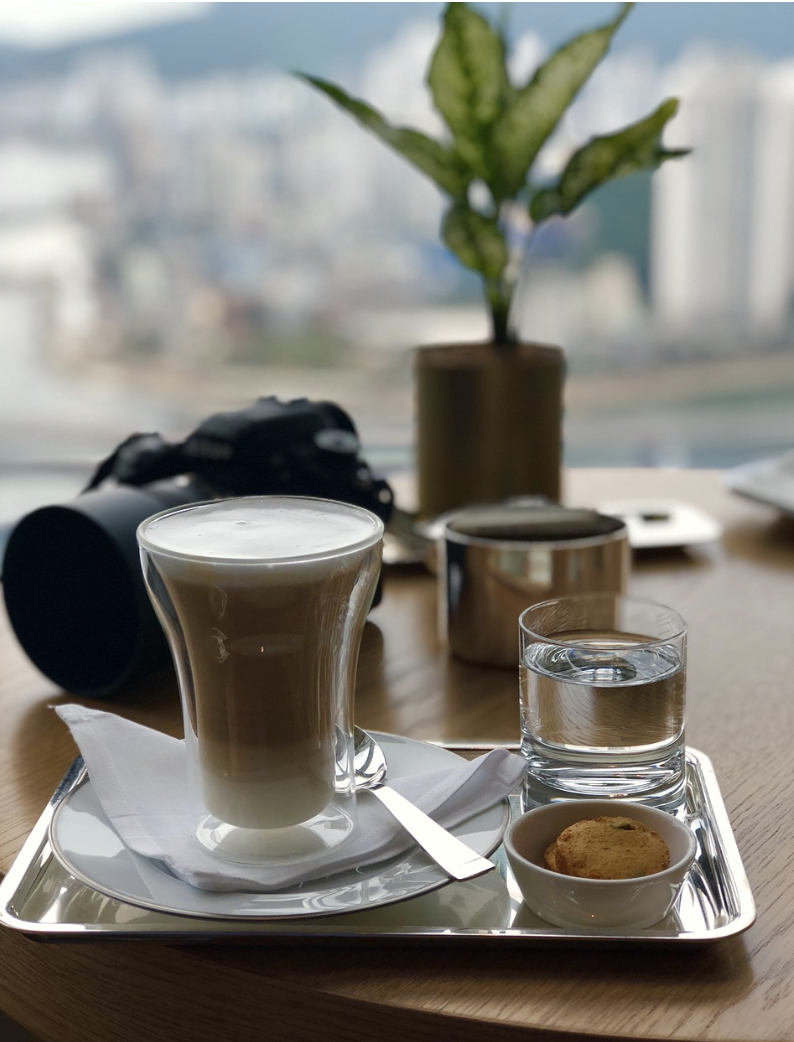 중국 커피 시장 원두 분석