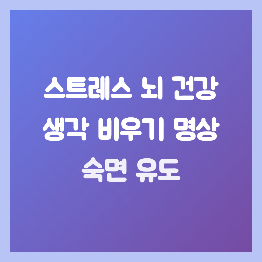 스트레스 뇌 건강, 자기 전 10분 생각 비우기 명상으로 숙면 유도