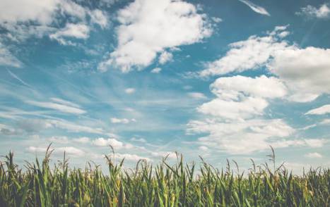 2025 처서 날짜·뜻 총정리|‘처서 매직’은 뭘까? 올해 전망까지