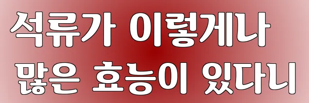 석류가 이렇게나 많은 효능이 있다니