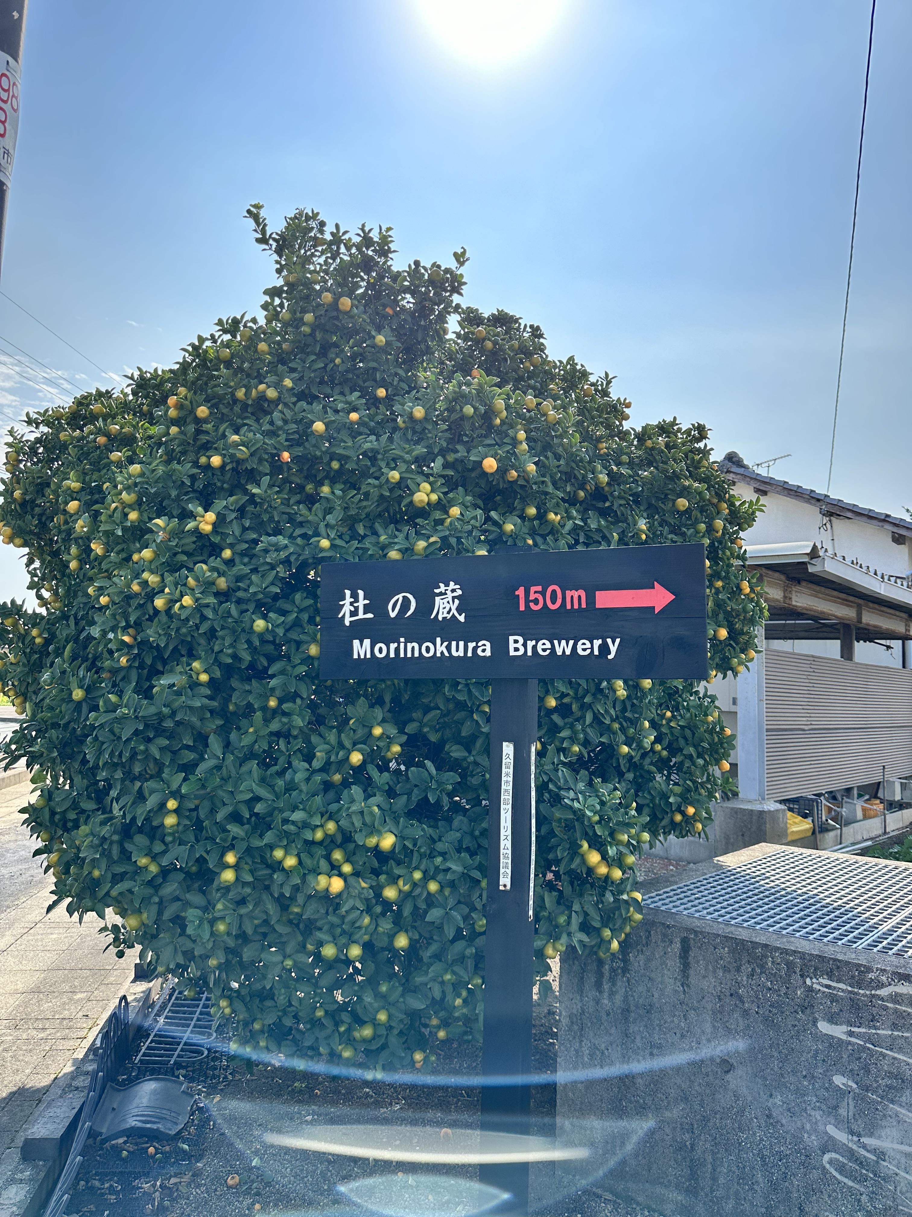 모리노쿠라 표지판