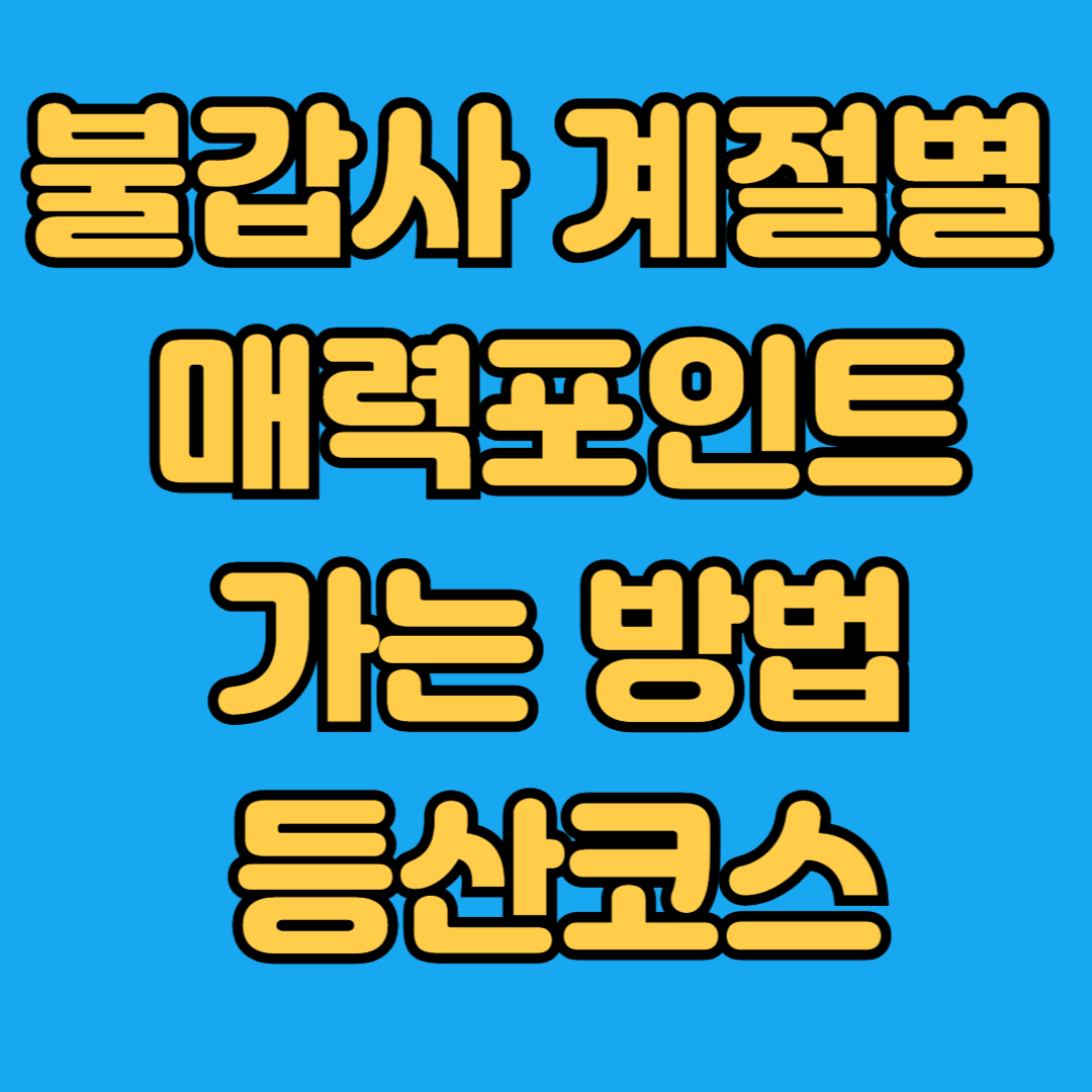 불갑사 계절별 매력포인트 가는 방법 등산코스