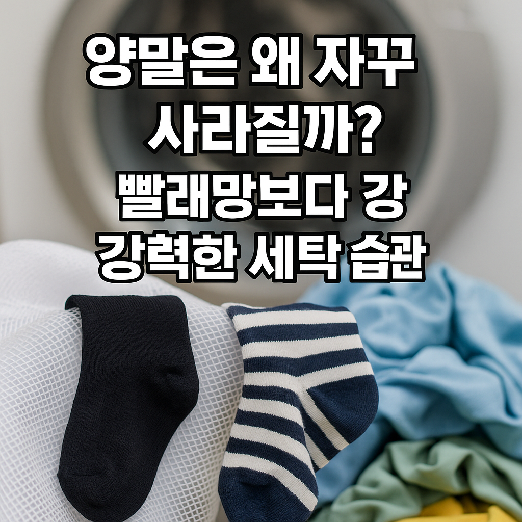 양말은 왜 자꾸 사라질까 빨래망보다 강력한 세탁 습관