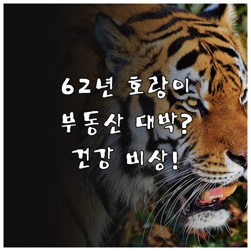 62년생 호랑이띠 2026년 3월 운..
