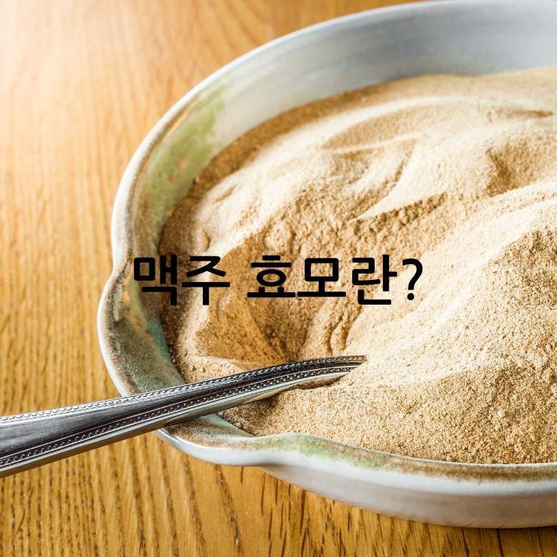 맥주효모와 비오틴&amp;#44; 탈모에 좋은 영양제