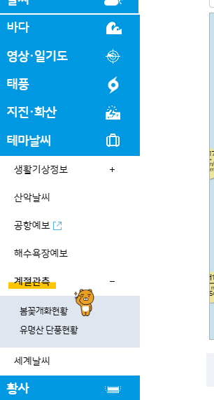 기상청 날씨누리 계절관측에 봄꽃개화현황 클릭