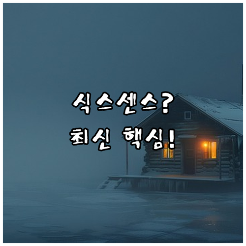 2024년 오픈 신상 호텔 식스 센스..