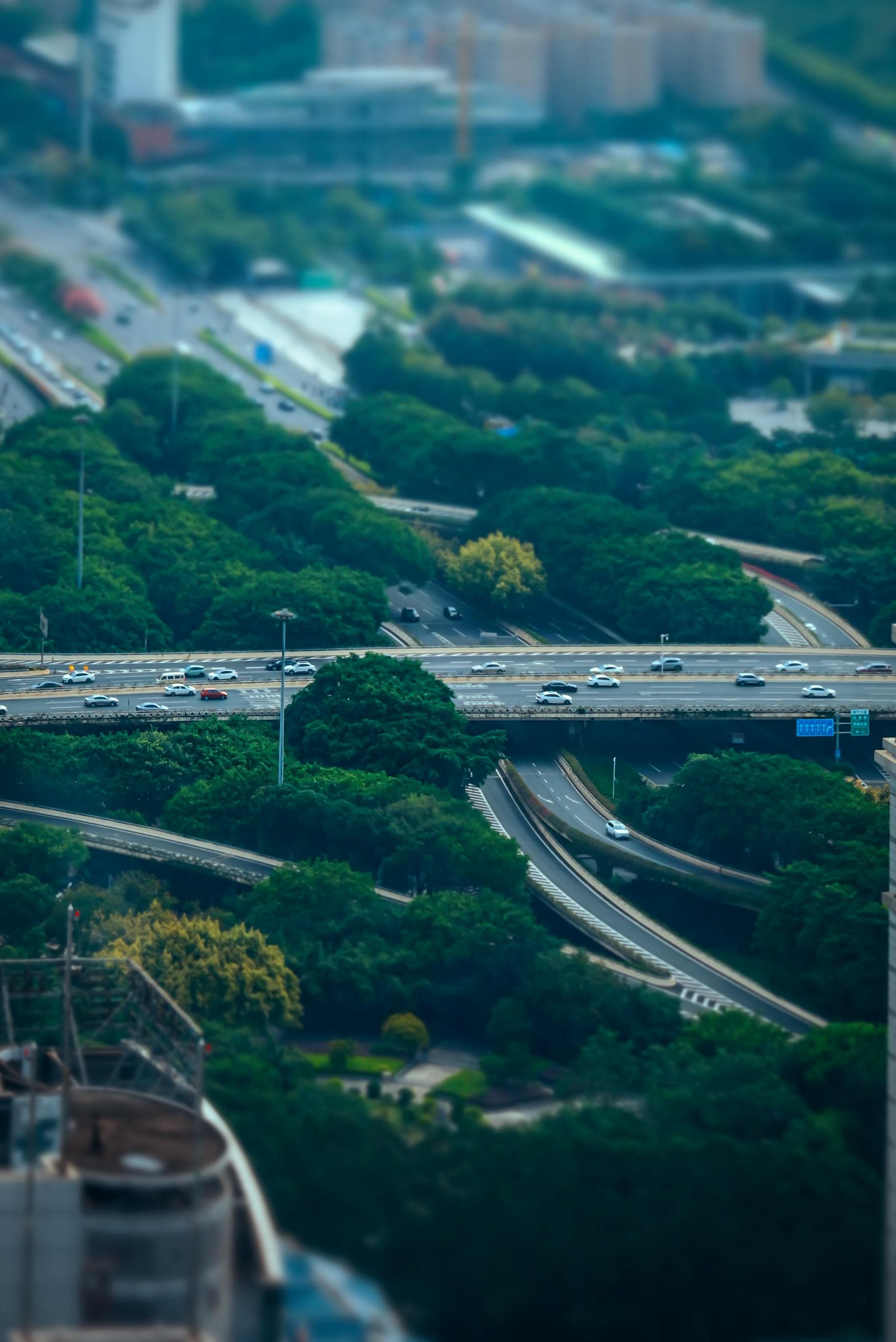 도시 속 녹색 공간의 가치와 역할