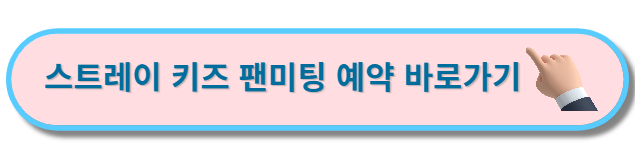 스트레이키즈 팬미팅 예약 바로가기 공식사이트