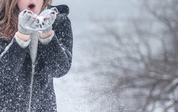 방어 제철 시기