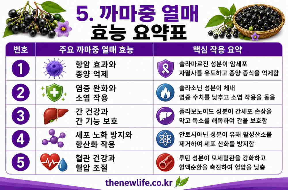 까마중 열매 효능 요약표